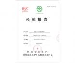 檢驗(yàn)報(bào)告